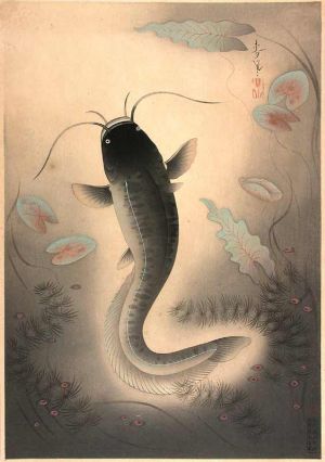 japanese fish tattoo. Fish Koi Tattoos Japanese Koi