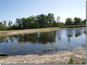 Another pond, but water is low