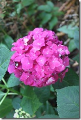 039