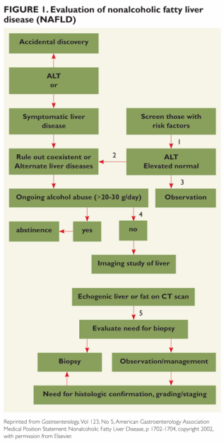 ca0212liverfeat_fig1_227434