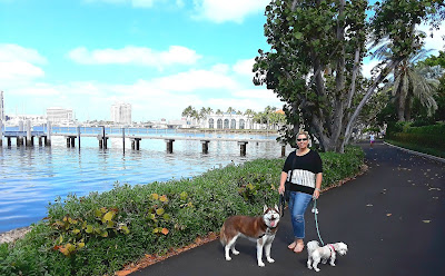 The Palm Beach Trail runs along the intercoastal waterway in Palm Beach.  It's a great dog friendly walk, right across the Flagler Memorial Bridge from West Palm Beach, Florida.  A great dog friendly vacation destination with dogs or other pets