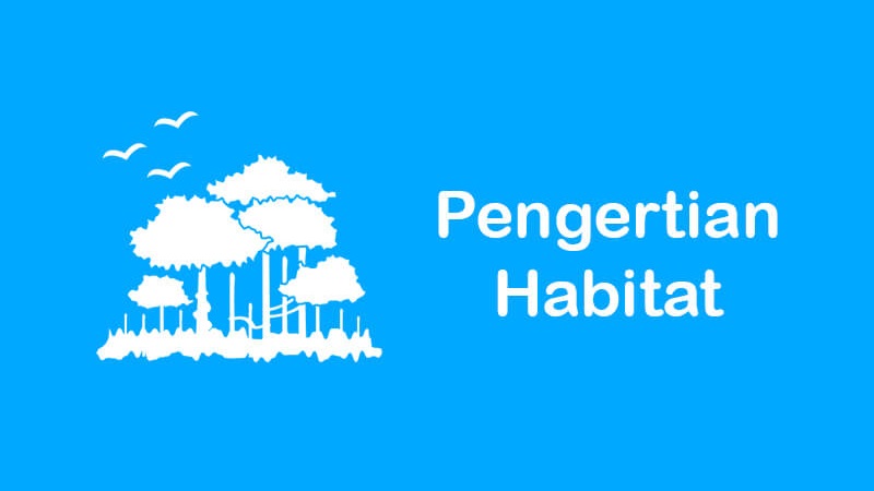 pengertian habitat beserta contoh dan fungsinya