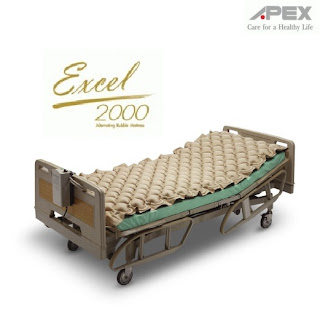 APEX Excel 2000