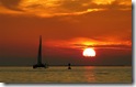 Desktop widescreen wallpaper