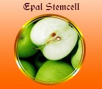 EPAL STEMCELL ADA DALAM PRO RIGHT, Apakah epal stemcell, apa khasiat epal stemcel atau stemsel