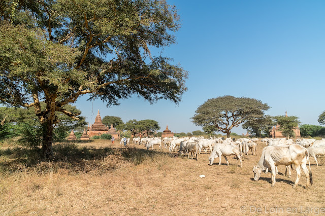 Bagan - Myanmar - Birmanie