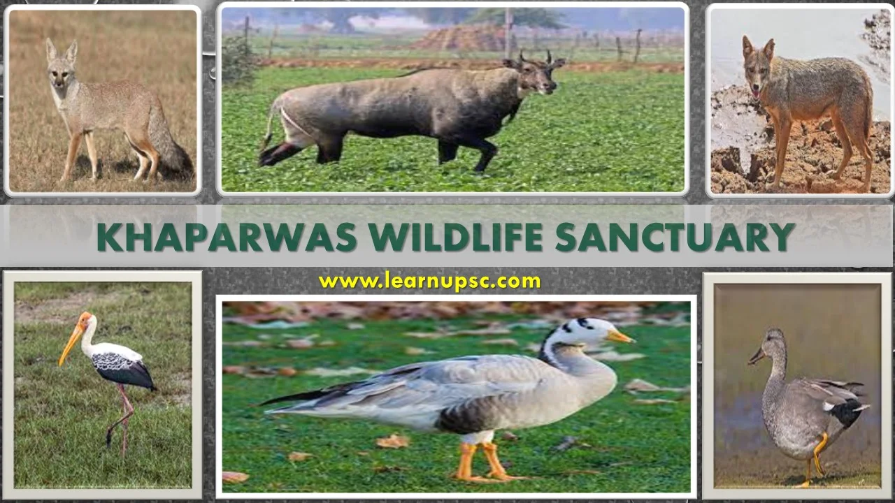 Khaparwas Wildlife Sanctuary
