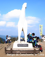 陣馬山頂の白馬