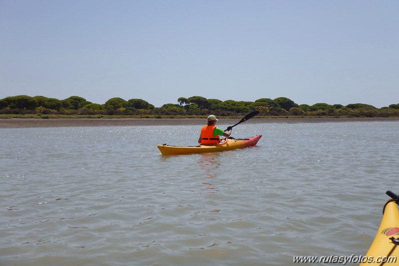 Kayak Rio San Pedro