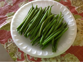 raw string beans on a paper plate