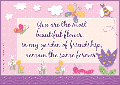 Most Beautiful Friendship Quotes