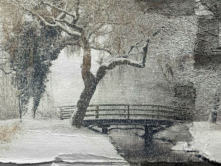 what to do in snowfall | What to do and not to do in a snowfall | बर्फबारी में क्या करें क्या न करें |