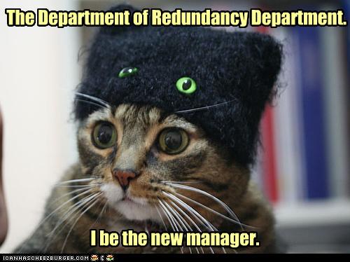 funny-pictures-cat-is-manager.jpg