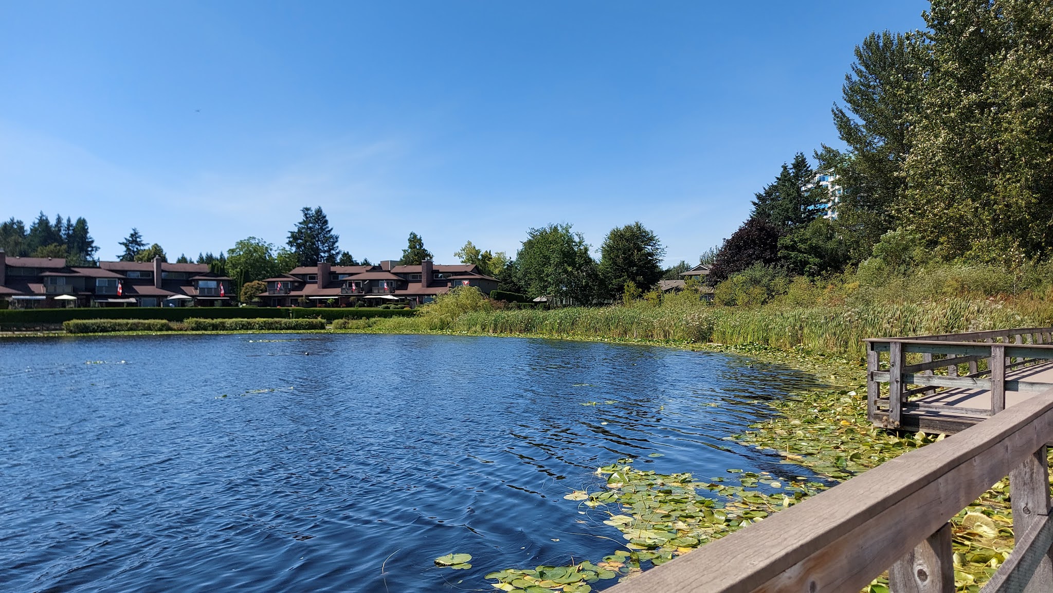 A lake view