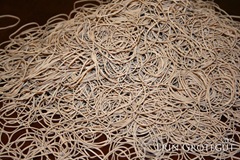 IMG_5419web