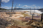 You would think that the photo I would use to show off Yellowstone would be . (yellowstone)