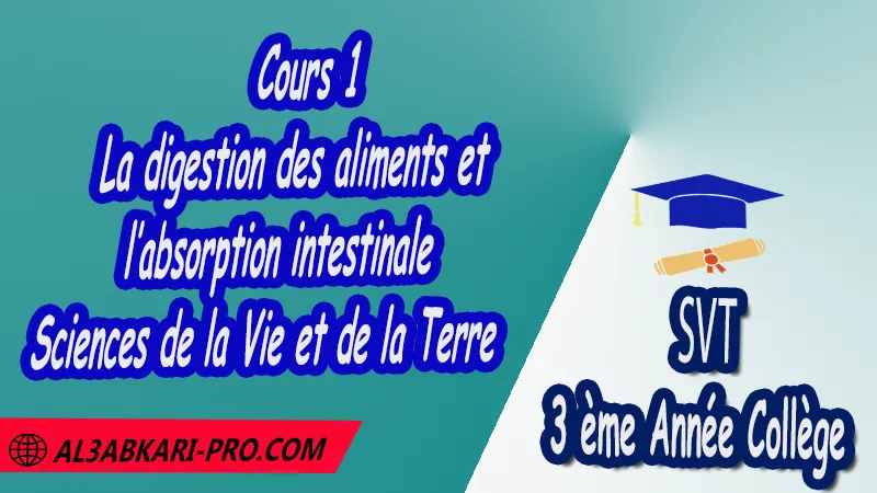 Cours 1 de la digestion des aliments et l’absorption intestinale - SVT 3ème Année Collège 3APIC pdf , Sciences de la Vie et de la Terre (SVT) de 3 ème Année Collège BIOF 3AC , SVT 3APIC option française , Cours de La digestion des aliments et l’absorption intestinale , Résumé de La digestion des aliments et l’absorption intestinale , Exercices corrigés de La digestion des aliments et l’absorption intestinale , Activités de La digestion des aliments et l’absorption intestinale , Fiches pédagogiques de La digestion des aliments et l’absorption intestinale , Devoirs corrigés de Sciences de la Vie et de la Terre (SVT) , Contrôle corrigé de de Sciences de la Vie et de la Terre (SVT) , Examens régionaux corrigés de Sciences de la Vie et de la Terre (SVT) , Travaux dirigés td de Sciences de la Vie et de la Terre (SVT) الثالثة اعدادي خيار فرنسي , مادة علوم الحياة والارض خيار فرنسية , الثالثة اعدادي , مسار دولي