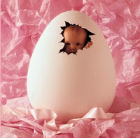 registry of egg donors