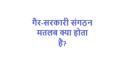 ngo in hindi meaning
