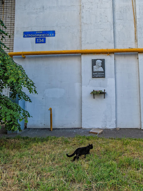 Памятная доска в честь Бориса Немцова - общий план и кошка идущая по газону