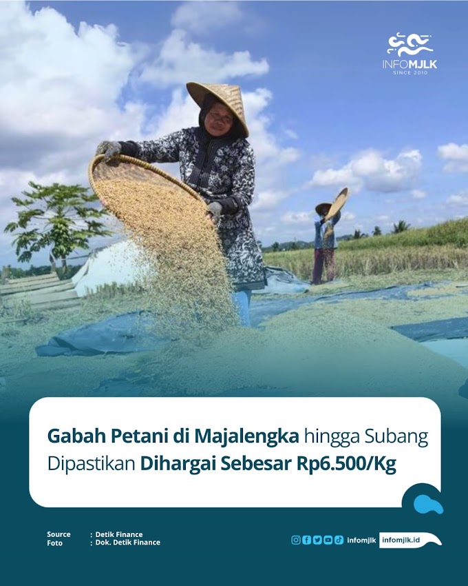 Gabah Petani di Majalengka hingga Subang Dipastikan Akan Dihargai Sebesar Rp6.500/Kg