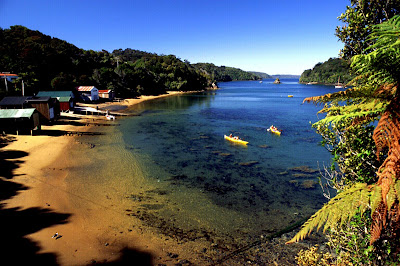 Stewart Island