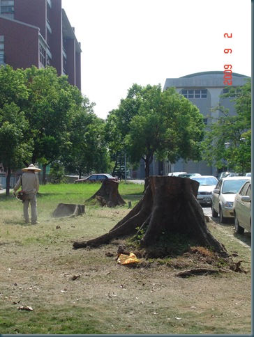 DSC01631