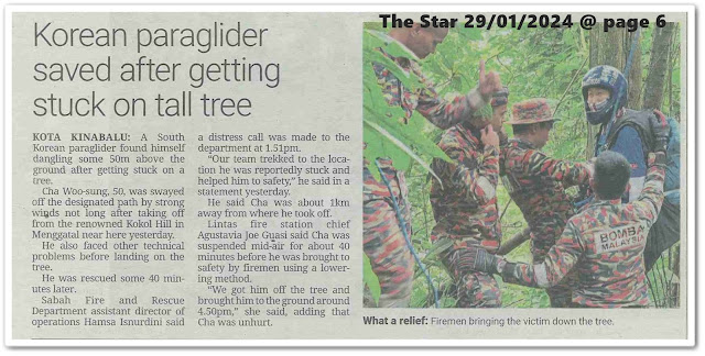 Korean paraglider saved after getting stuck on tall tree | Keratan akhbar The Star 29 January 2024