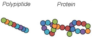 Many organic compounds incorporate k of atoms per molecule Polymers | Natural polymer, Artificial polymer, Examples, & Types |