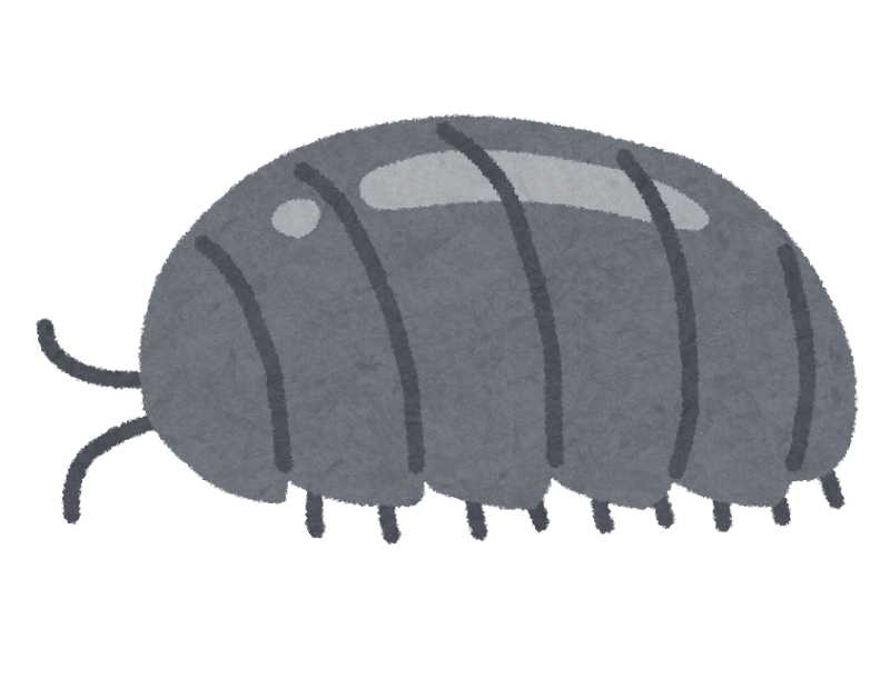 ダンゴムシのイラスト かわいいフリー素材集 いらすとや ダンゴムシのイラスト かわいいフリー素材集 いらすとや