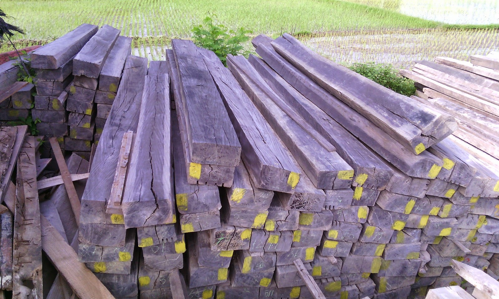  KAYU  ULIN BULIAN BESI  JUAL KAYU  JATI KUSEN PINTU 