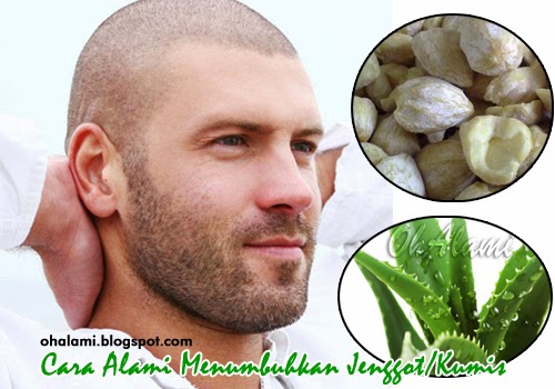 Ramuan Obat Herbal (Bahan Alami) Untuk Menumbuhkan Jenggot Dan Kumis