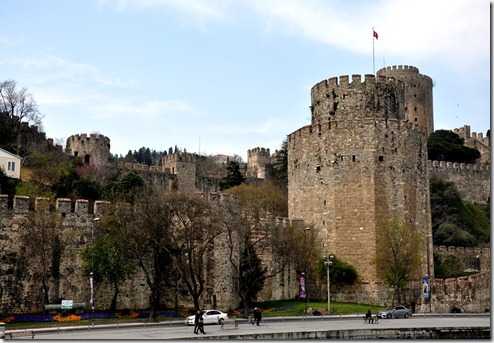 DSC_0202_Fotor