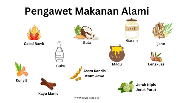 pengawet makanan alami