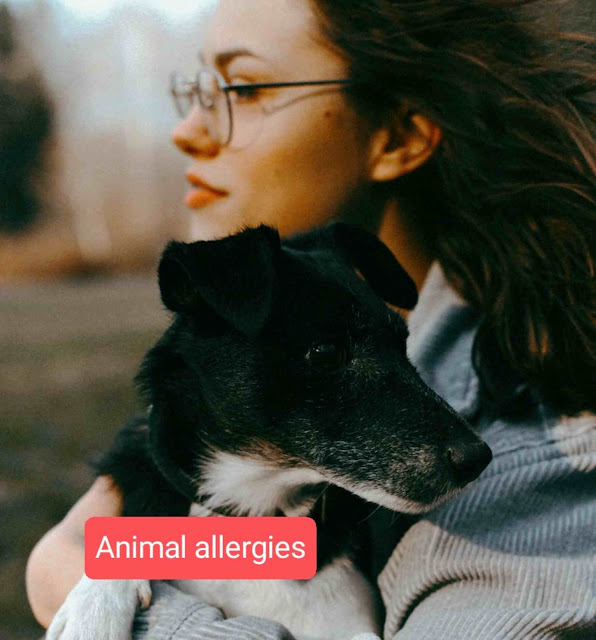 How to cure animal allergies