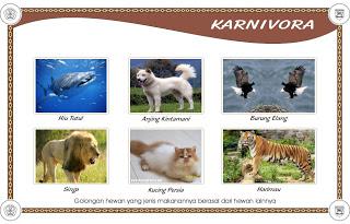  binatang berdasarkan jenis makanannya dibagi menjadi  Penggolongan Hewan Berdasarkan Jenis Makanannya (Herbivora, Karnivora, Omnivora)