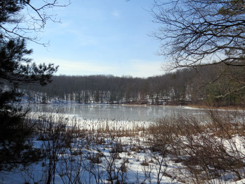 Bowman Lake