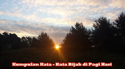 Kumpulan Kata - Kata Bijak di Pagi Hari 