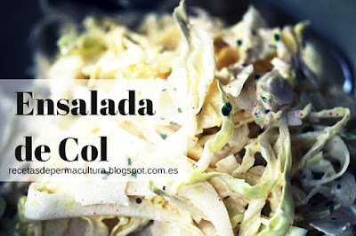 Ensalada de Col con Brotes de Soja y Yogur