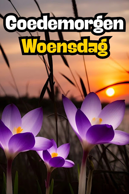 Goedemorgen Woensdag