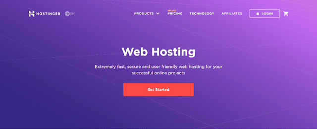 Hostinger Web Hosting