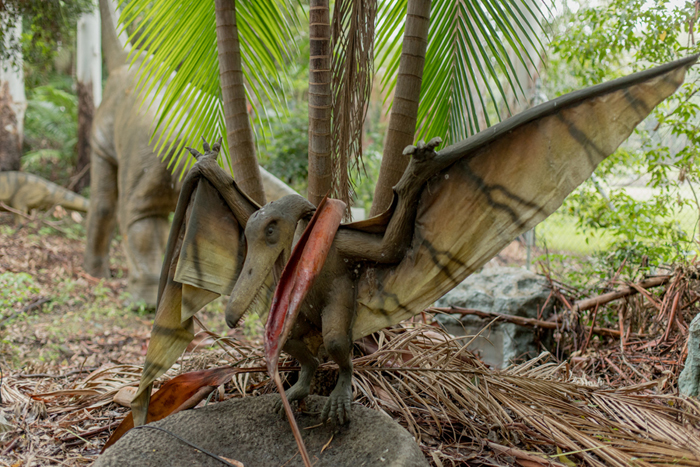 palmersaurus abandoned