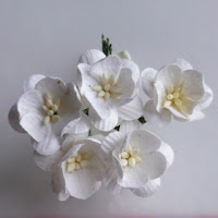 https://scrapkowo.pl/shop,mkx-053-kwiaty-wisni-odcien-bialy-5szt-,4823.html