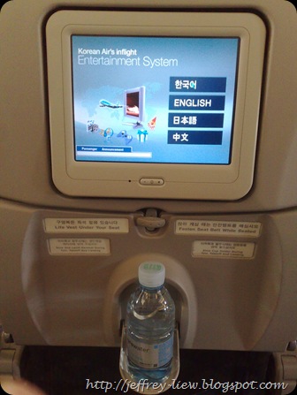 in flight entertainment system