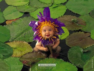 bebe flor de anne geddes