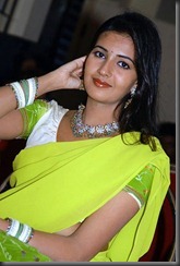 Anu-Mehta-Saree-hot2