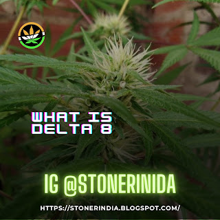What is delta 8 blog by stonerindia