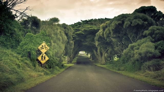 Fascinating Road Wallpaper