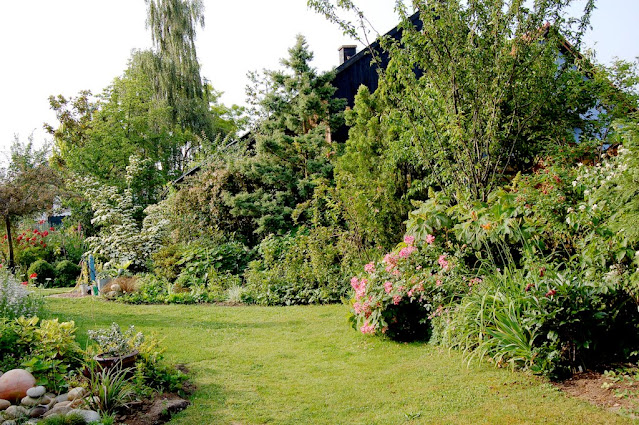 Structure du jardin à partir des Arbres, arbustes, jardin arboré, jardin à l'anglaise, jardin paysager