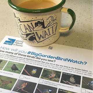 RSPB Big Garden Bird Watch